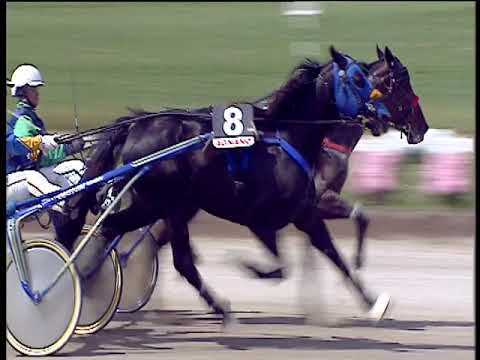 Trotto 12/05/2019 - 2ª corsa