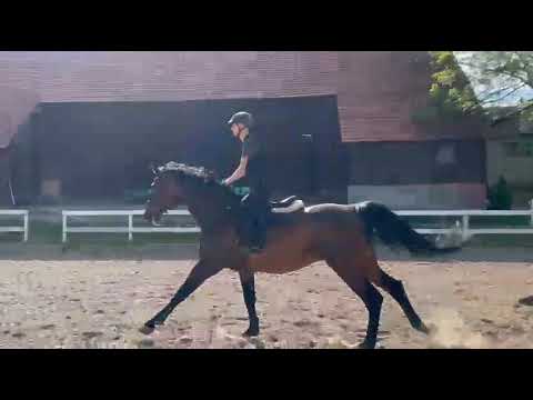 Charlie video 4