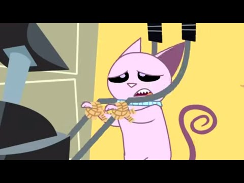 Señor Gato Regresa 🐈 Kid Vs. Kat 🐈 Niño Vs. Gato - WildBrain