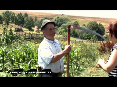 Caravana Hunedoara TV - Batrana