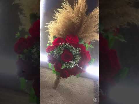 ١٠ نوفمبر، ٢٠٢١