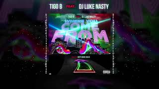 Tigo B feat. DJ Luke Nasty - Where You Come From (Audio)