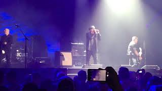 THE CULT DARK ENERGY 2018