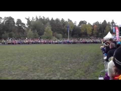 Lilla Lidingöloppet 2012 P10 start