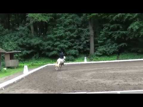 Inselhofs Skyhigh Bronze LCH 2014