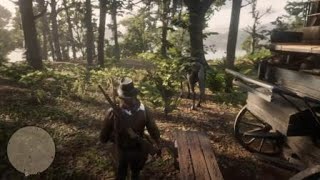 Red Dead Redemption 2   Lemoyne Raiders Camp (glitched) - Old Harry Fen, Lemoyne