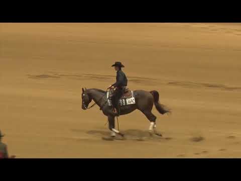 181002 Senior Reining Hunter Dabo on Galle De Rojo