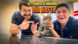 VETERİNER KLİNİĞİNDE BİR HAFTA GEÇİRMEK ! 