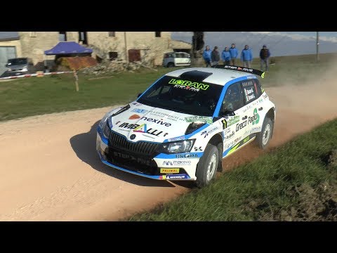RALLY DELLE MARCHE 2019 BASSO GRANAI SKODA FABIA R5