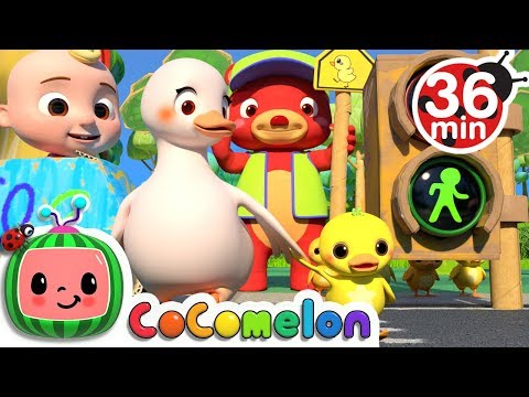 Traffic Safety Song | +More Nursery Rhymes & Kids Songs - CoCoMelon