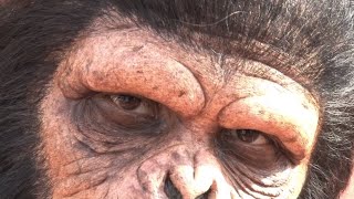 DVD＆ブルーレイ『猿の惑星：新世紀』面白PR映像