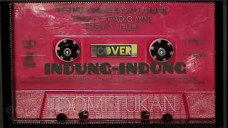 Download lagu INDUNG-INDUNG[terbaru Domi Tukan cover] mp3