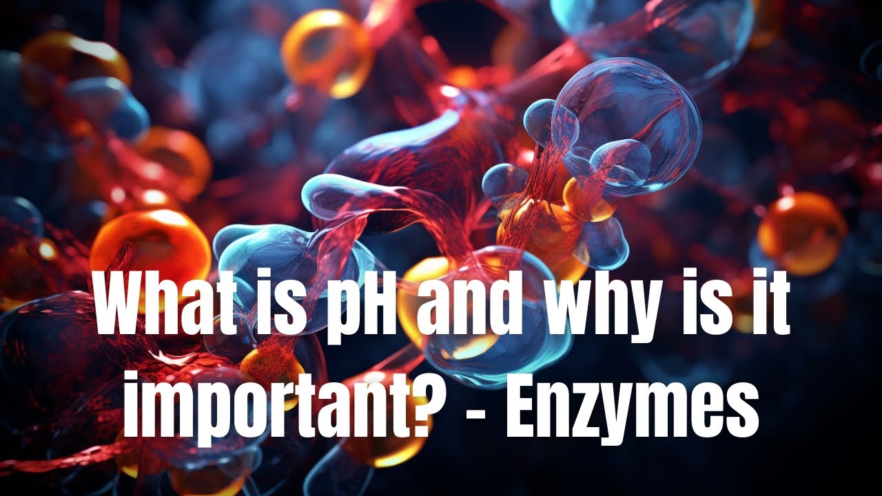 👨‍🌾 What is pH and why is it important? - Enzymes - Biology 🧑🏽‍🔬