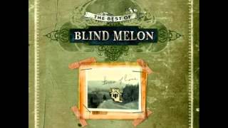 Blind Melon - Skinned *ACOUSTIC*