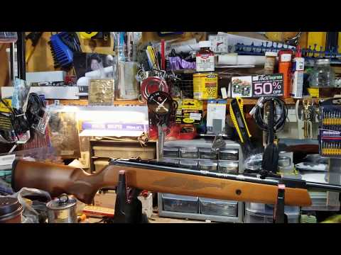 Hatsan Mod 95 Vortex .25 cal overview