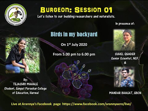 Birds in my Backyard | Tejashri Mahale | Burgeon Session EP 1