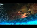 Jacques Cousteau S Underworld Village In The Red Sea BBC