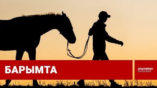 Тірнектеп жиған малдың ұрылары елді күнкөріс көзінен айырып жатыр