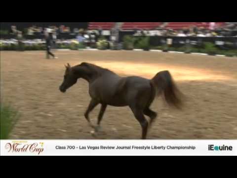 World Cup Mi Grand Valentino