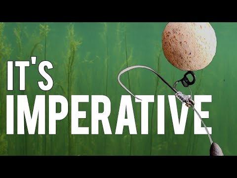 Learning how your chod rig and leader behave in weed. Underwater footage. 