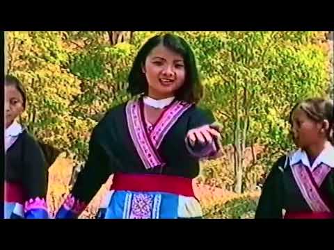 Tsab Mim Xyooj - Lub Paj Hav Zoov [MUSIC VIDEO]