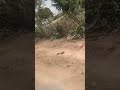 Aaine Ke Sau Tukde Humne Karke Dekhe Hain
