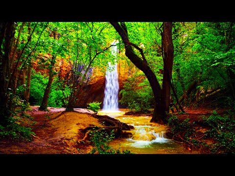 Relaxing Zen Music and Nature Sounds - Wooden Flute and Pan Flute - Meditation, Sleep Sound