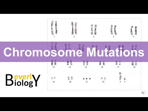 Chromosome mutations