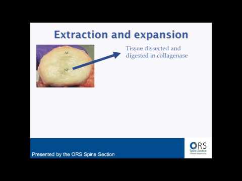 2015 10 28 10 00 ORS Webinar  Cell and Organ Based Culture Conditions of the Intervertebral Disc