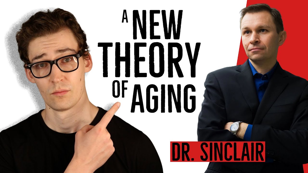 Dr. Sinclair’s New Theory of Aging, Explained.