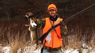 Small Game Hunting Rabbit and Pheasant 2014
