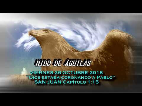 TABERNÁCULO LOS VILOS - 26 OCTUBRE 2018 "Dios estaba coronando a Pablo"