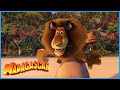 DreamWorks Madagascar You Can T Swim Madagascar Movie Clip