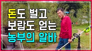 귀농 10년차 시골 농부, 돈도 벌고 재능 기부로 보람도 느끼는 방법