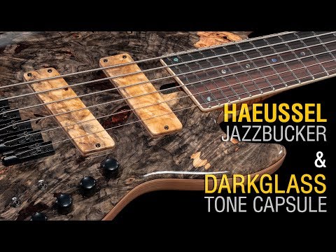 Haeussel Jazzbucker + Darkglass Tone Capsule // Maruszczyk Elwood L6a-24 Multiscale