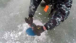 Поводок для щуки на жерлицы