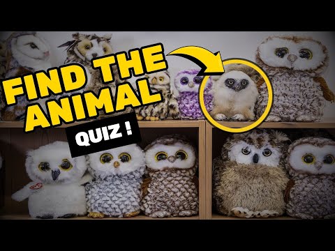 Find the Hidden Animals - Impossible version