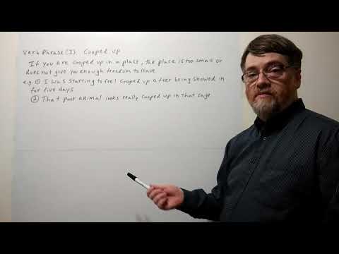 Tutor Nick P Verb Phrase (3)  - Cooped UP