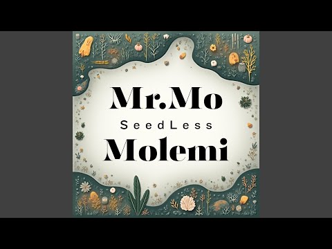 Wer Wer You (feat. Towdeemac, Wunda)