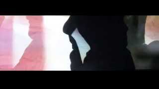 Paradise Animals - Tea Guide - Official Video