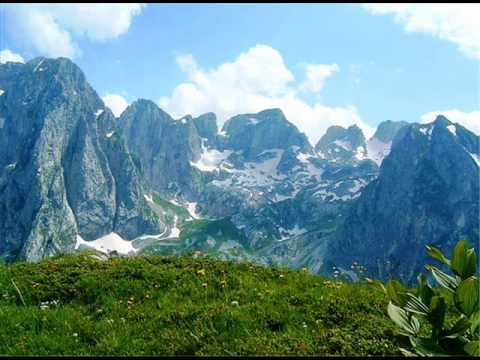 Sali Brari - Po Martohet Malësori