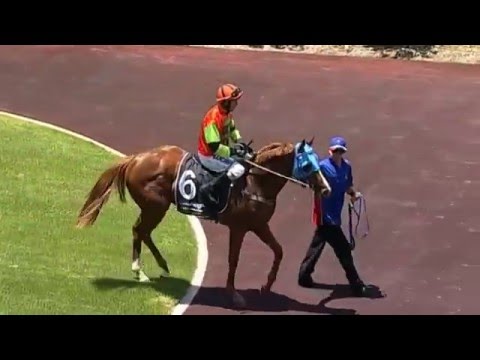 Ascot, 23/12/2015 - Race 1 - SPEEDING COMET - Kyle Nowland