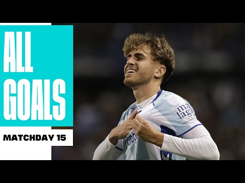 TODOS los GOLES de la JORNADA 15 de LALIGA HYPERMOTION 2025/26