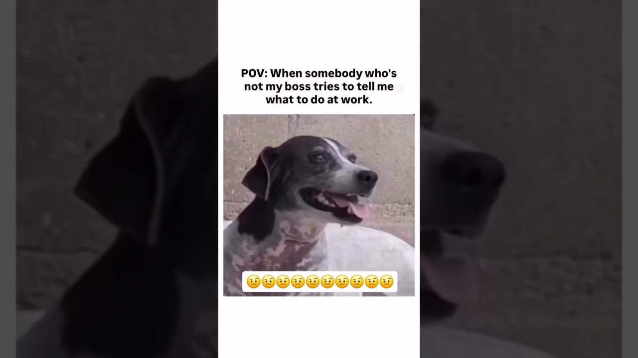 What ya say foo’?! 🤷🏿‍♂️😂