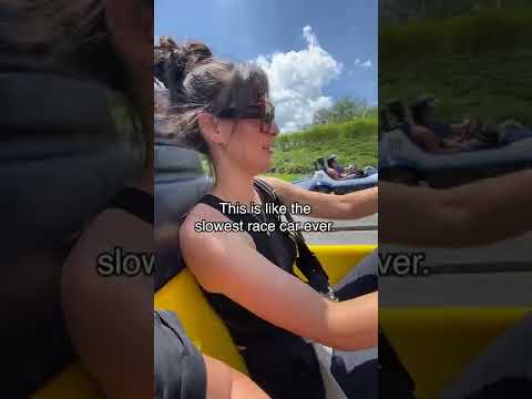 ディズニーランド嫌いの人 #ショーツ (Disney World Haters #shorts)