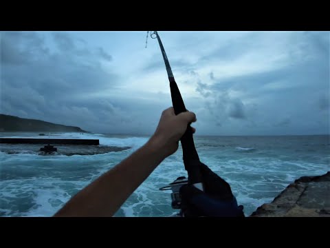 TPP lure 'striped white' got smoked in Makatea