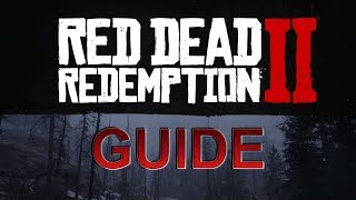 How to Enter Cheats in Red Dead Redemption 2 PC