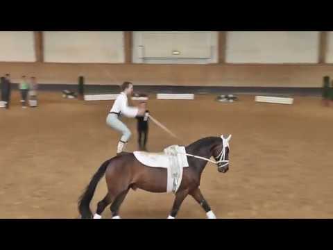 Pferd International 2018 - Voltigieren - Sarah Kintrup