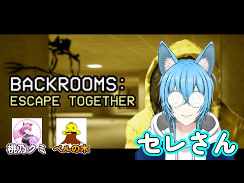 【おコラボ】バックルームっていうホラゲをみんなでやっていくよー!!!【#奏空セレ #個人勢vtuber #男性vtuber 】