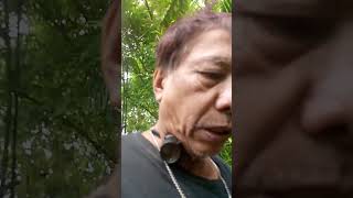 yan ang tanim kung kamot